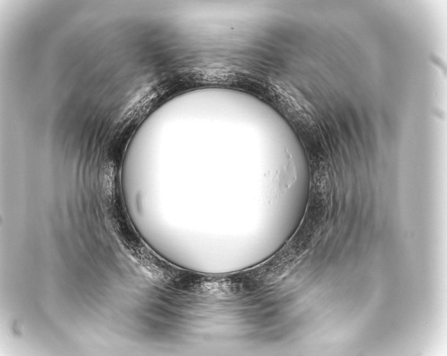 X0000093440744200711021053