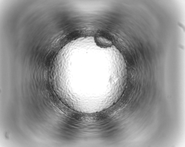 X0000093440745200711021053