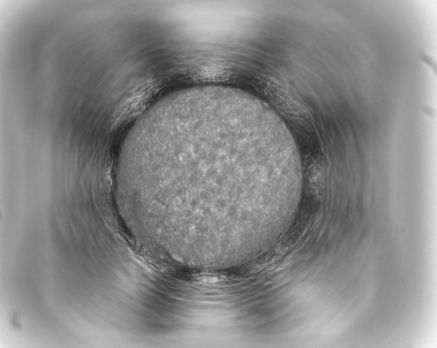 X0000093440746200711021053