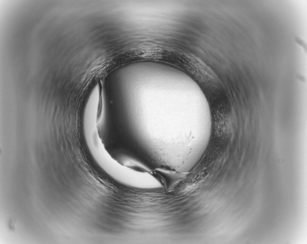 X0000093440748200711021054