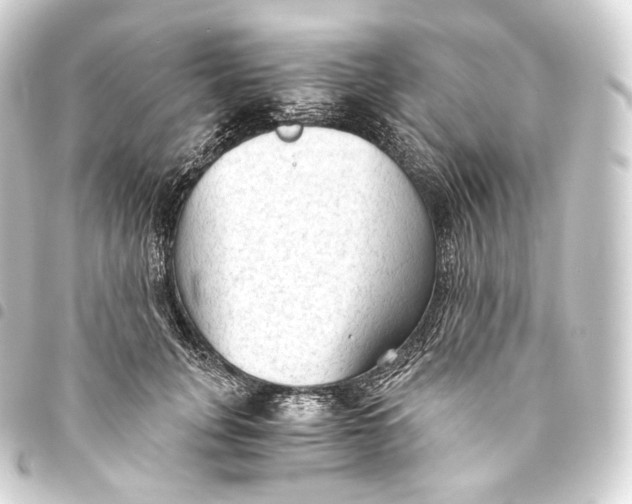 X0000093440751200711021054