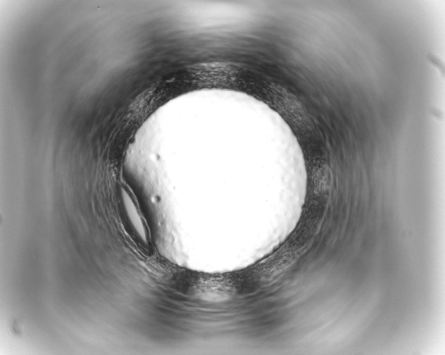 X0000093440753200711021054