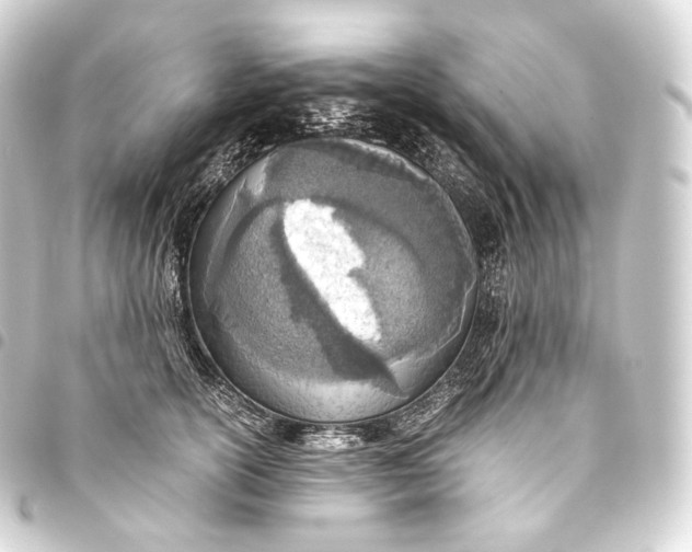 X0000093440754200711021054