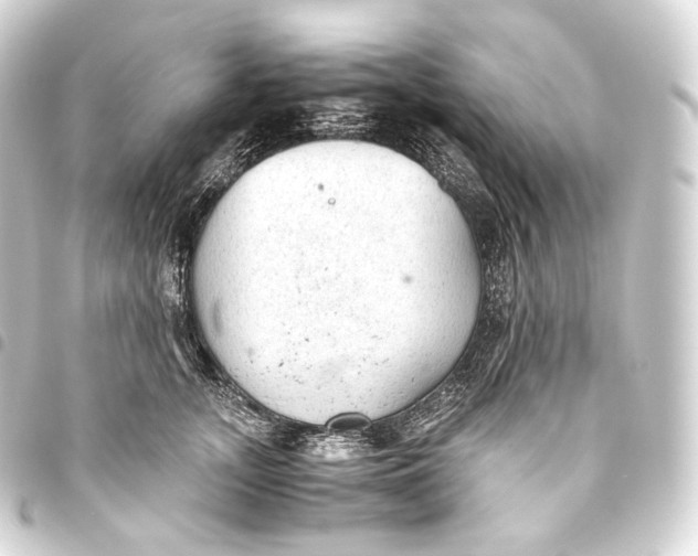 X0000093440755200711021054