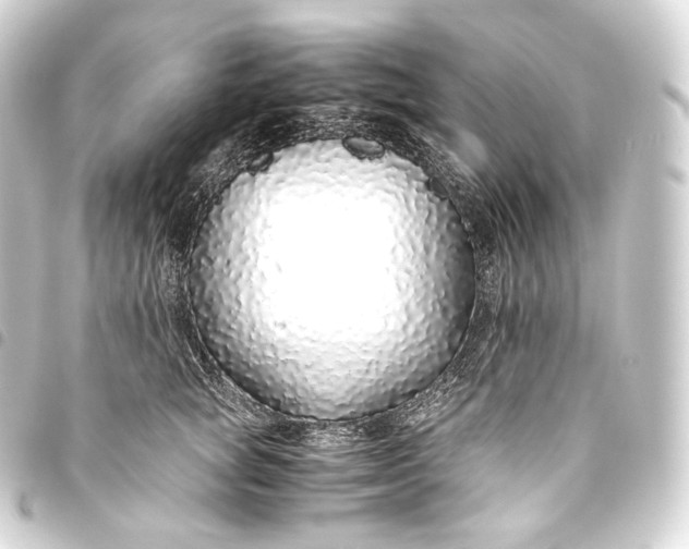 X0000093440757200711021054