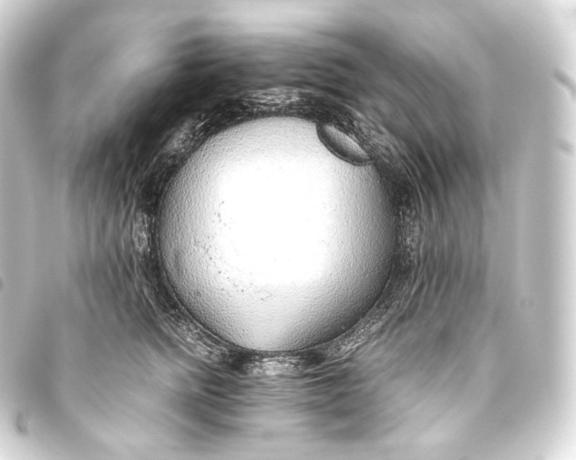 X0000093440758200711021054