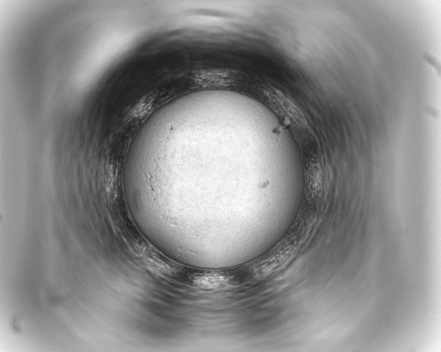 X0000093440759200711021054