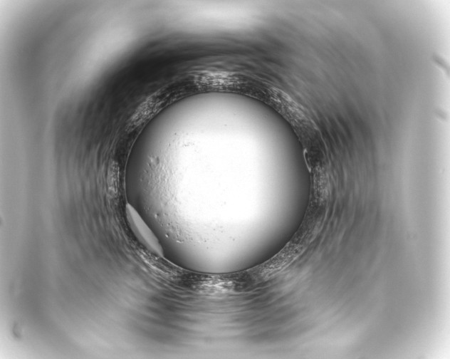 X0000093440760200711021054