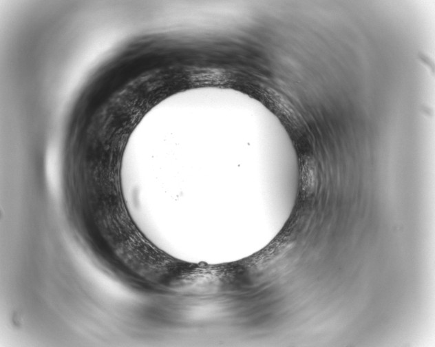 X0000093440764200711021054