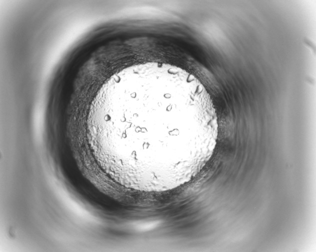 X0000093440765200711021054