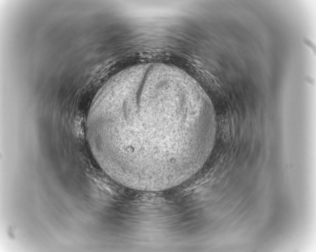 X0000093440770200711021053