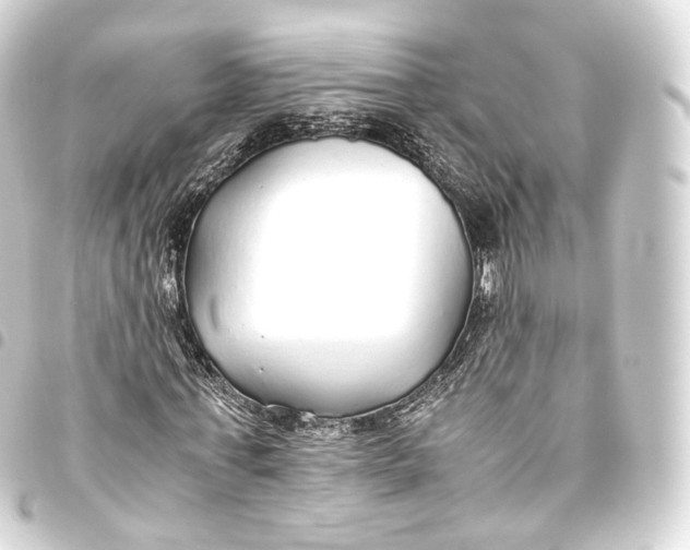 X0000093440771200711021053