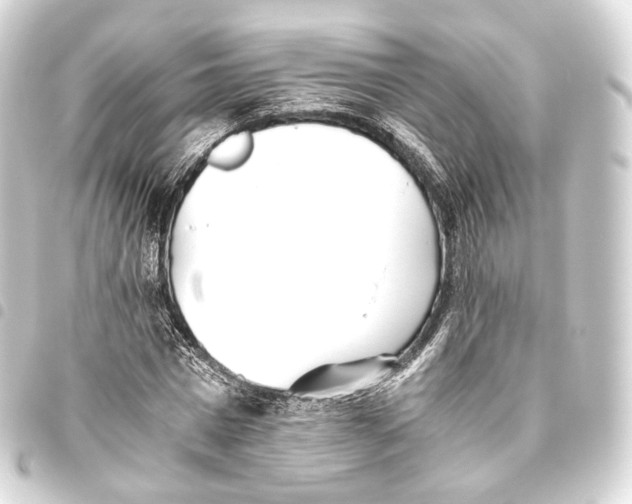 X0000093440777200711021053