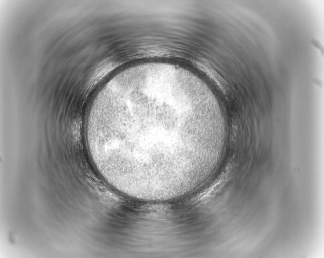 X0000093440778200711021053