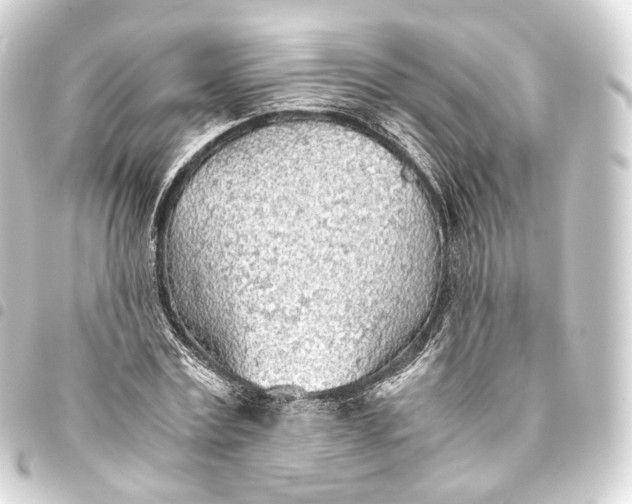 X0000093440779200711021053