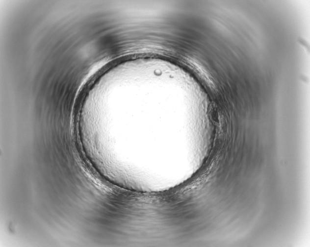 X0000093440780200711021053