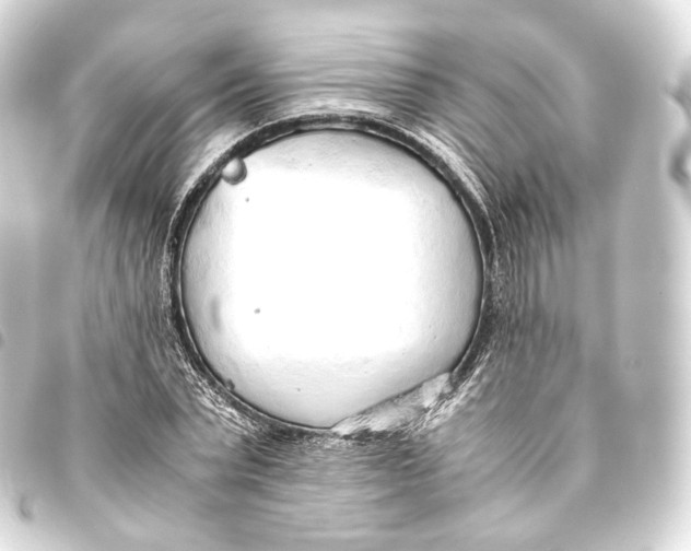 X0000093440783200711021053