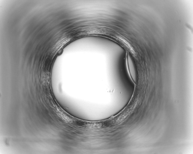 X0000093440793200711021053