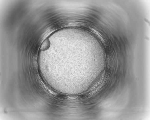 X0000093440794200711021053