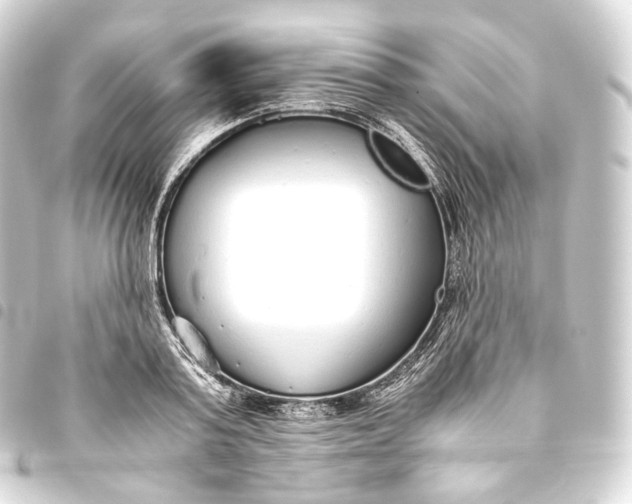 X0000093440795200711021053