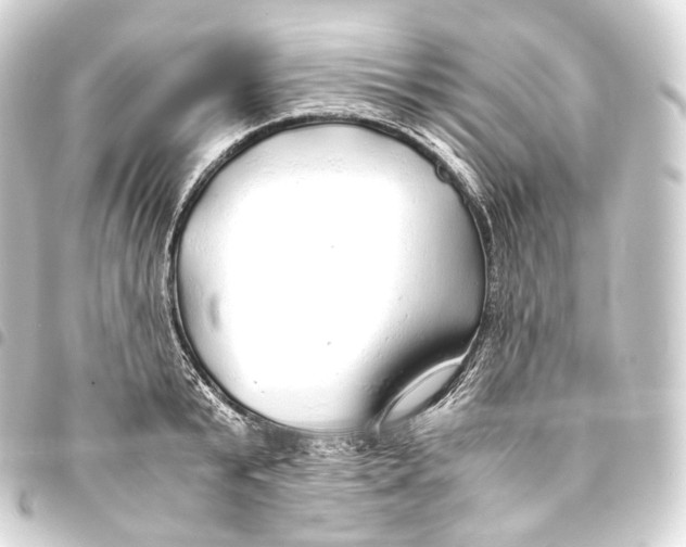 X0000093440799200711021053