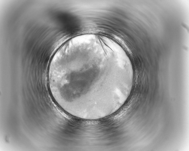 X0000093440802200711021053