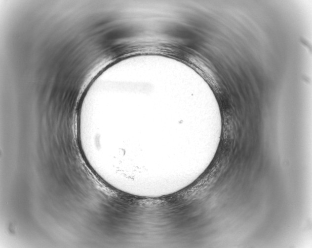 X0000093440804200711021053