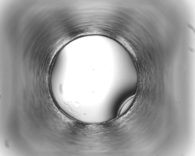 X0000093440805200711021053