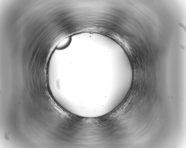 X0000093440808200711021053