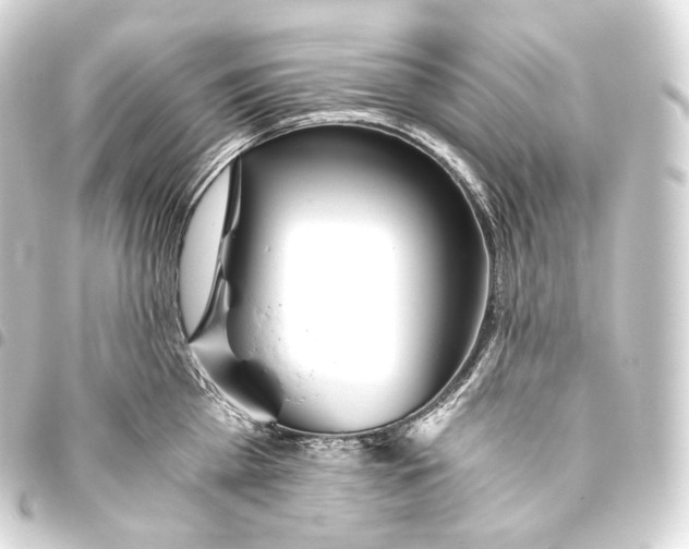 X0000093440809200711021053