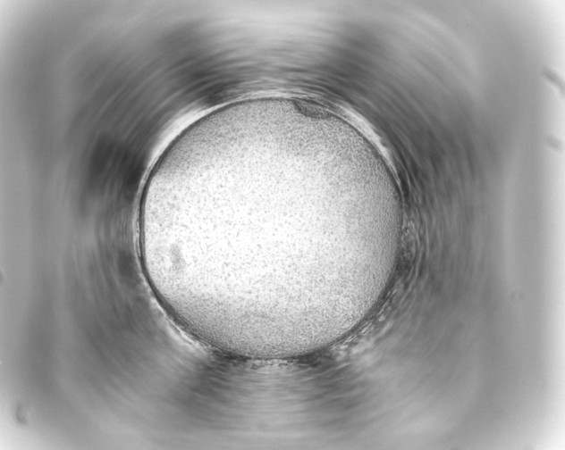 X0000093440811200711021053