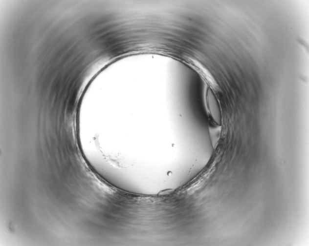 X0000093440812200711021053