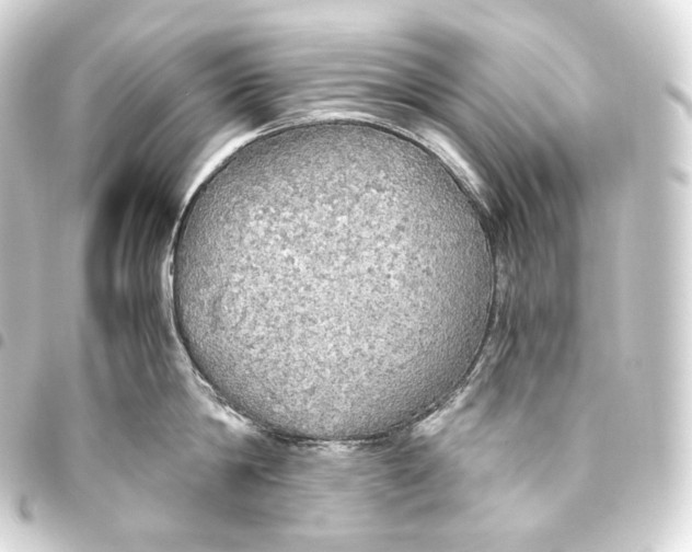 X0000093440814200711021053