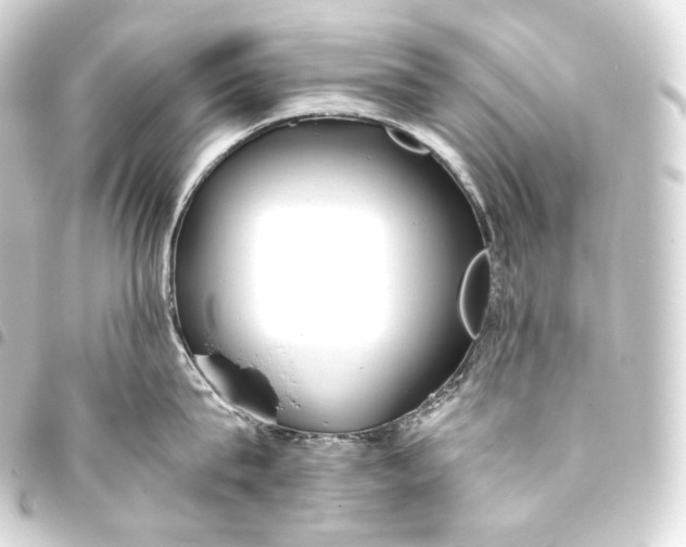 X0000093440815200711021053