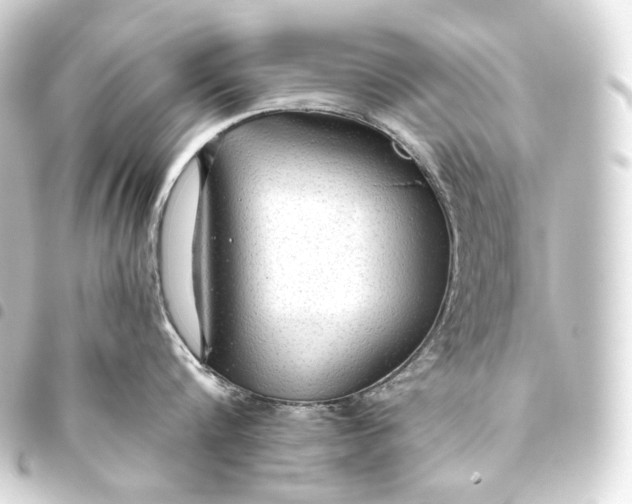 X0000093440816200711021053