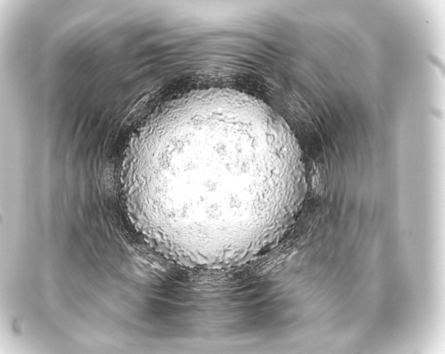 X0000093440819200711021052