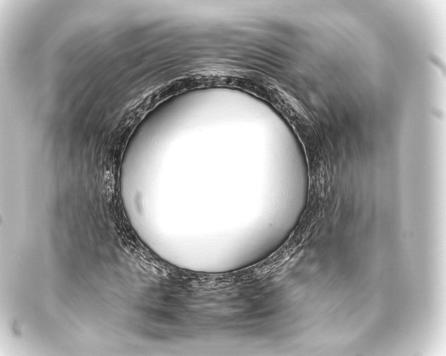 X0000093440821200711021052