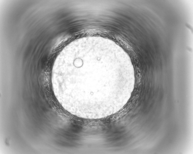 X0000093440824200711021052