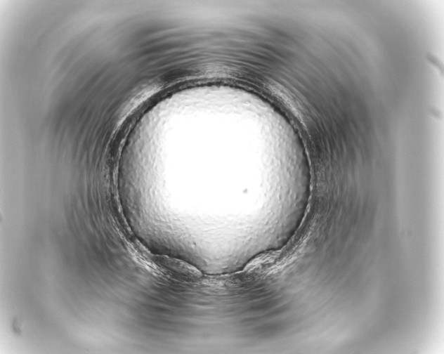 X0000093440827200711021052