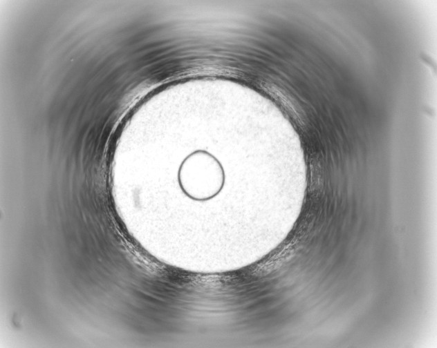 X0000093440828200711021052