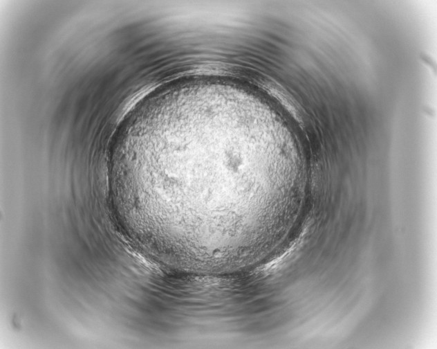 X0000093440829200711021052