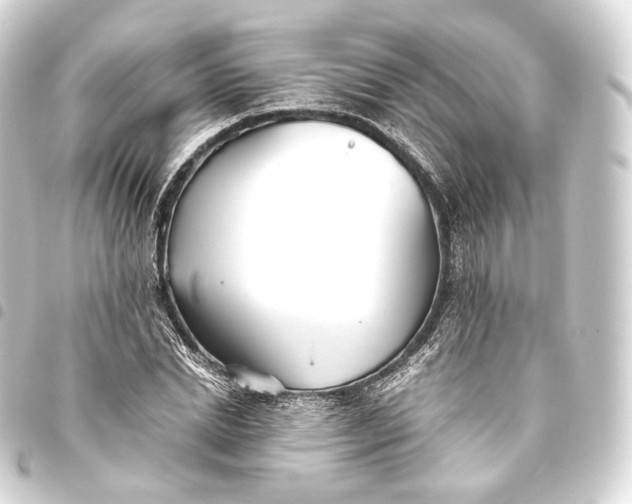 X0000093440830200711021052