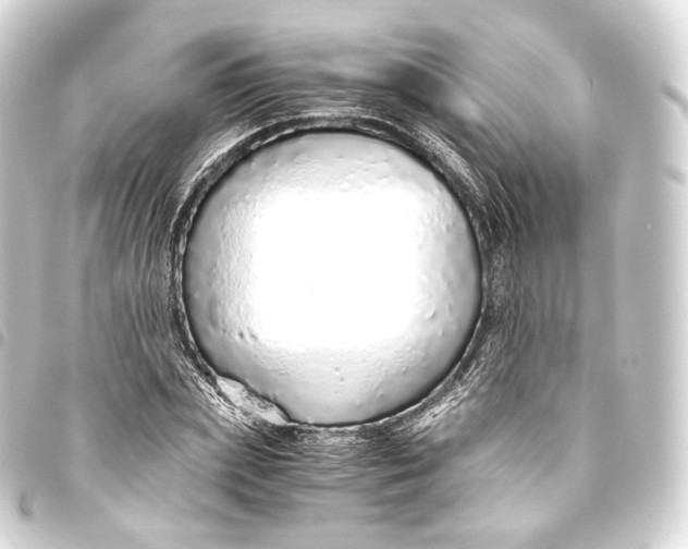 X0000093440831200711021052