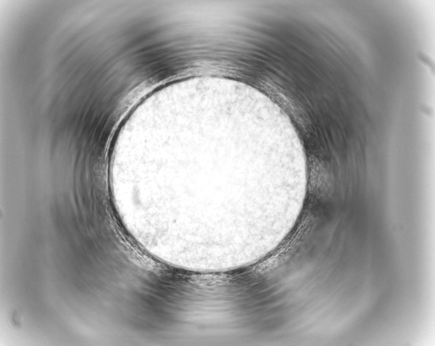 X0000093440836200711021052