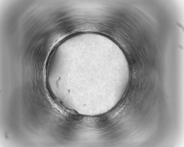 X0000093440840200711021052