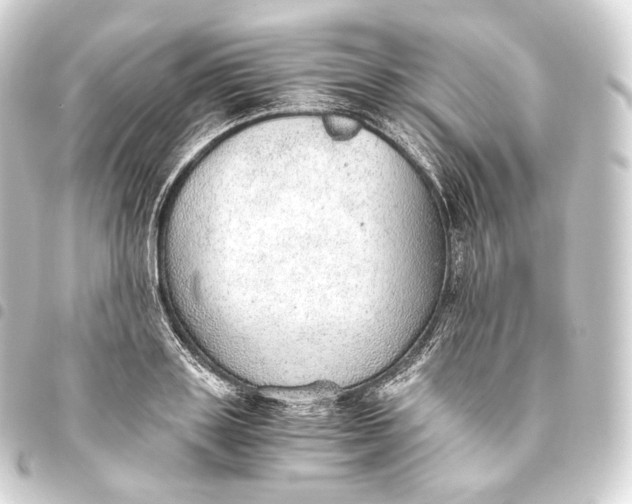 X0000093440843200711021052