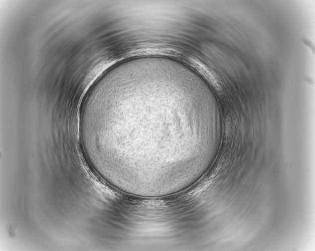 X0000093440844200711021052