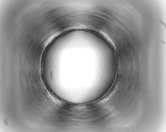 X0000093440845200711021052