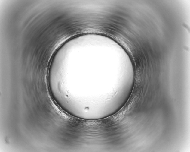 X0000093440847200711021052