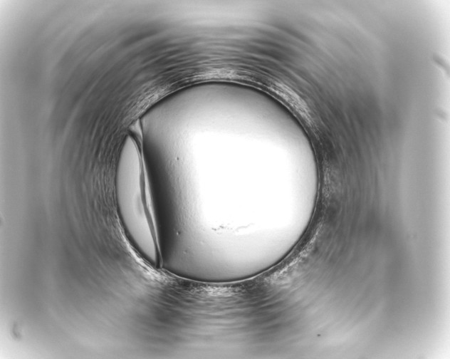 X0000093440849200711021052